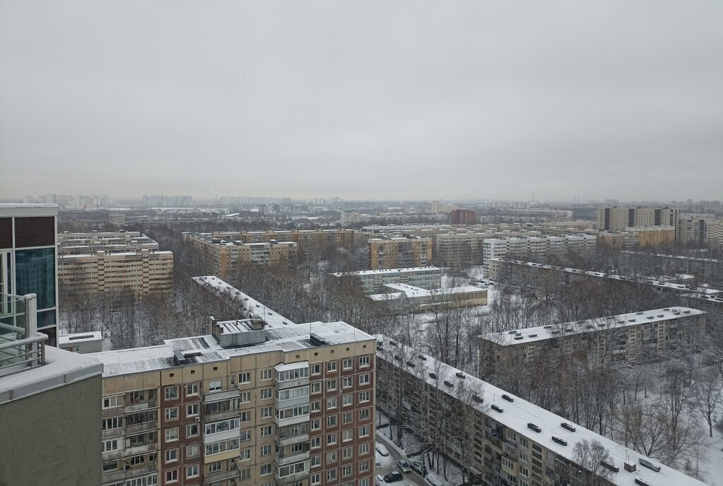 квартира г Санкт-Петербург метро Гражданский Проспект пр-кт Гражданский 113к/3 фото 10