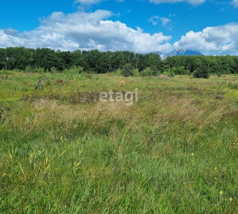 земля р-н Благовещенский с Гродеково ул Зеленая фото 5