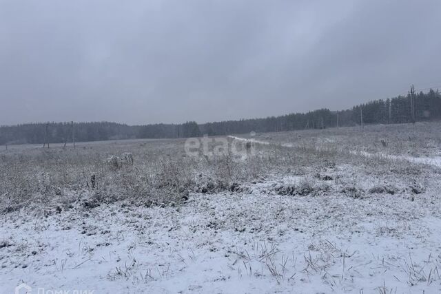 р-н Балахнинский рп. Гидроторф фото