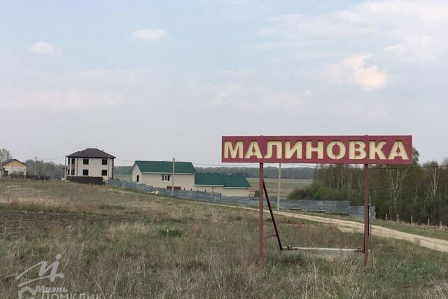 ДНТ Малиновка фото