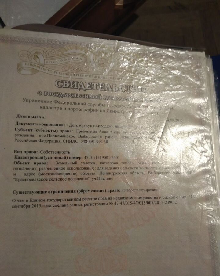 земля р-н Выборгский п Пчелино Трасса Скандинавия, 68 км, Выборгский р-н, Красносельское фото 1