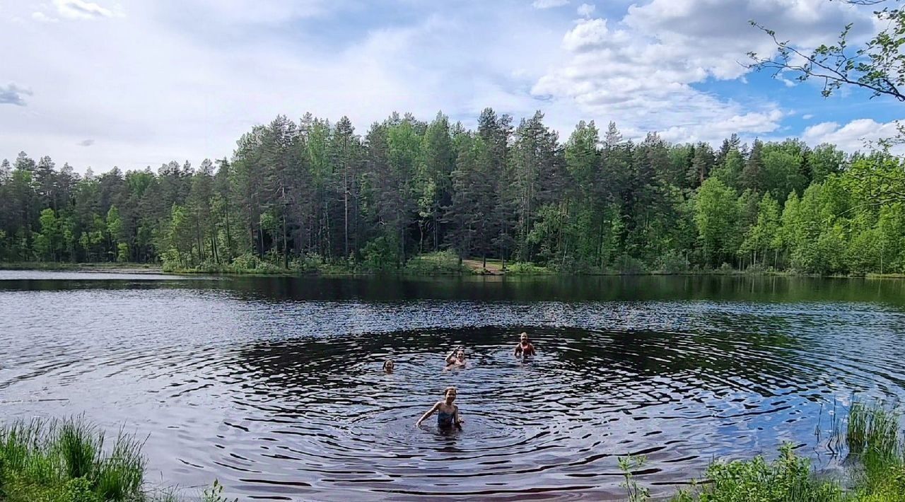 дом Лужское городское поселение, пос. Санаторий Жемчужина фото 11