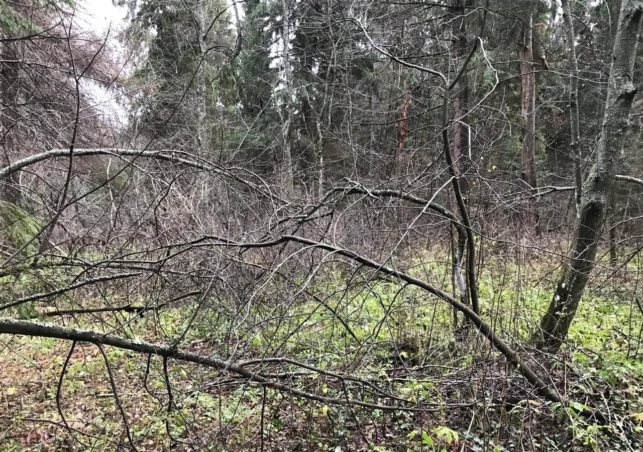 земля городской округ Сергиево-Посадский д Красная Сторожка снт Красная сторожка 64 км, Берёзовая ул., 208, Реммаш, Ярославское шоссе фото 19