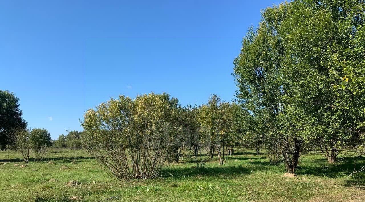 земля городской округ Щёлково д Мосальское фото 4