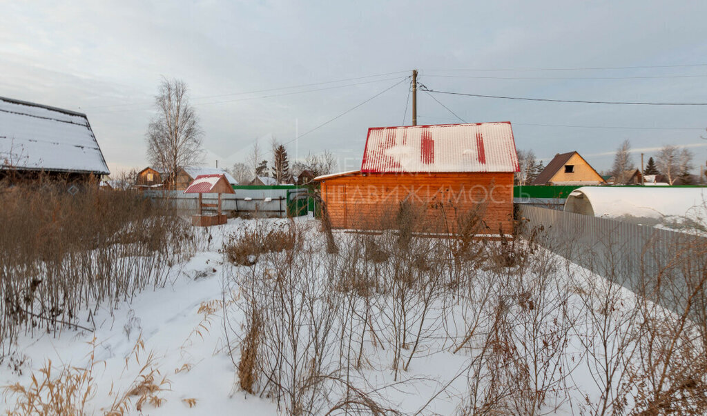 земля г Тюмень снт Тополек 14-я линия фото 11