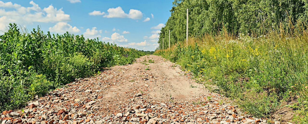 земля г Курск р-н Центральный ул. Генерала Тупикова фото 5