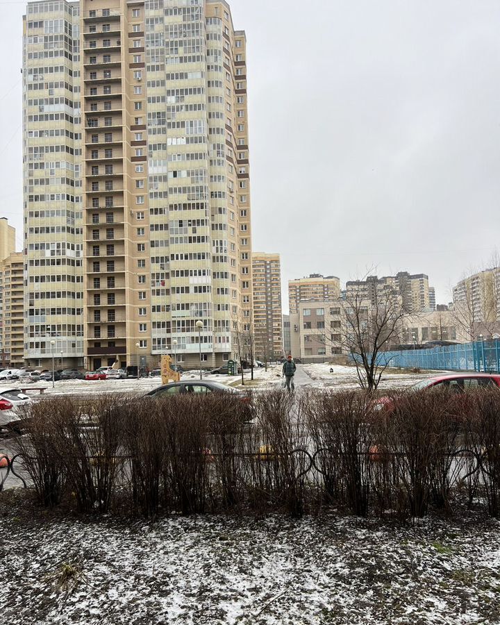 свободного назначения г Санкт-Петербург метро Проспект Ветеранов пр-кт Ленинский 84к/2 фото 6