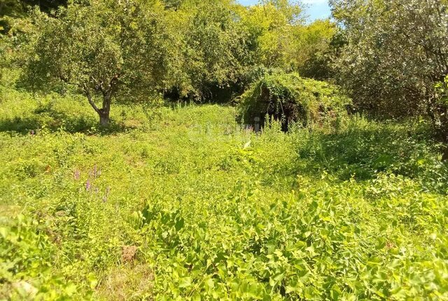 с Вардане пер Огородный 11 Лазаревский район, Вардане фото