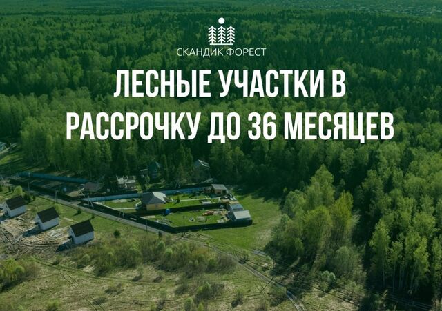 метро Тверская ул Тверская фото