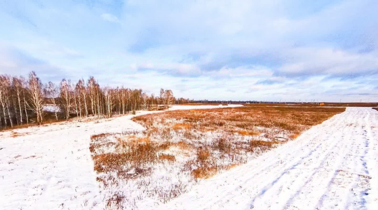 земля р-н Тюменский д Большие Акияры фото 3