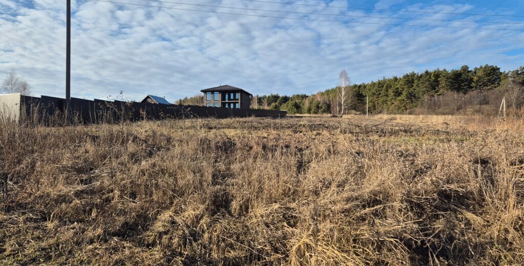 дом р-н Ясногорский д Григорьевское ул Молодежная фото 16