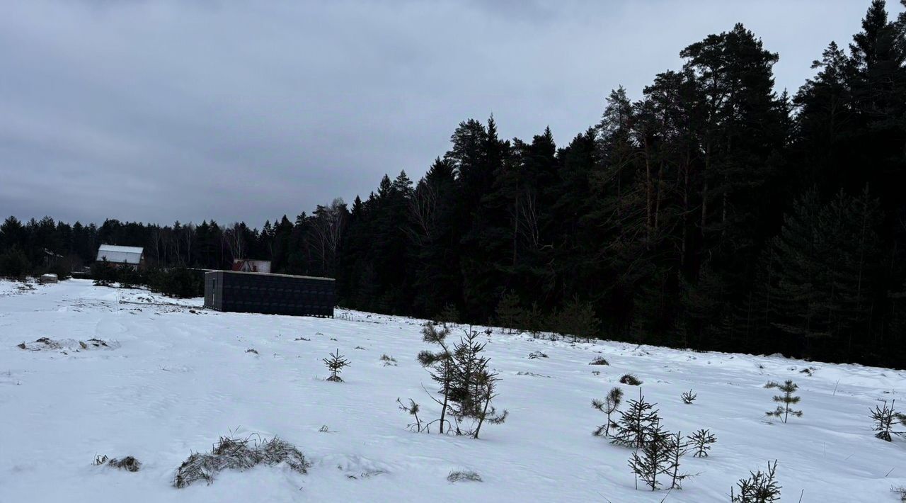 земля городской округ Можайский д Холдеево снт Холдеево 78 фото 4