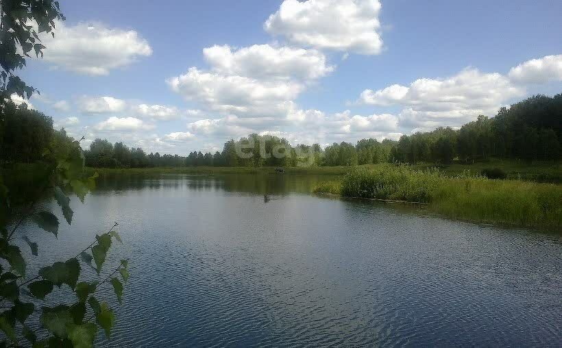 земля Морозовский сельсовет, садовое некоммерческое товарищество Звёздное фото 4