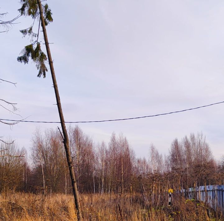 земля р-н Переславский д Щелканка Переславль-Залесский городской округ фото 3