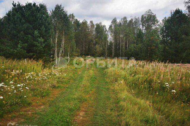 д. Головина фото