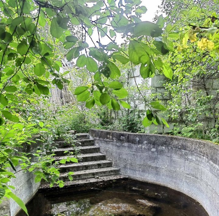 дом городской округ Истра г Дедовск снт Прожектор Нахабино фото 20