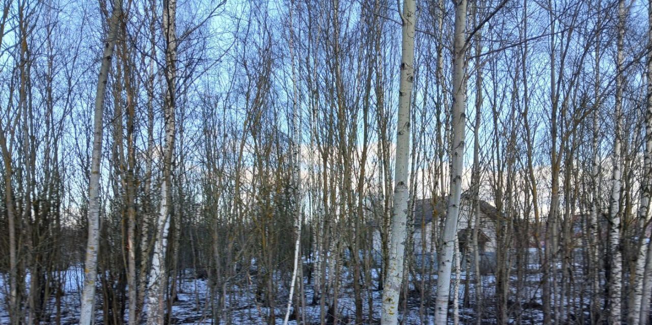 офис г Тверь п Черкассы р-н Заволжский пер Добрый фото 1