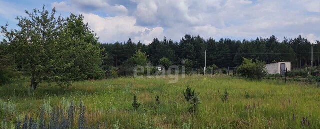 земля снт Ветеран Новоживотинновское сельское поселение, Воронеж фото