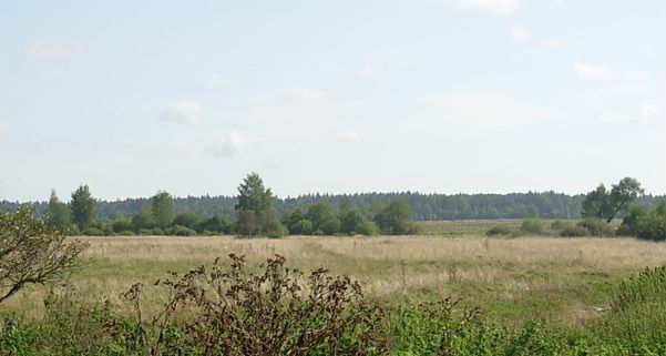 земля р-н Калининский д Романово Славновское сельское поселение, Тверь фото 3