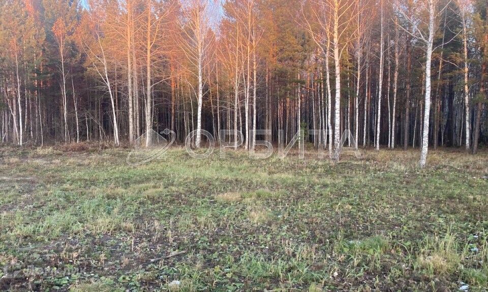 земля р-н Нижнетавдинский фото 3