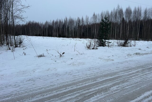 земля п Луч муниципальное образование Андреевское фото