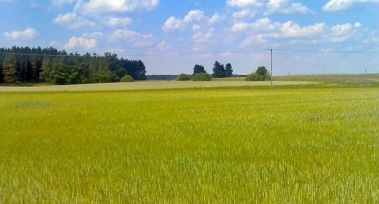 офис городской округ Озерский д Сенцово Коломна городской округ фото 1