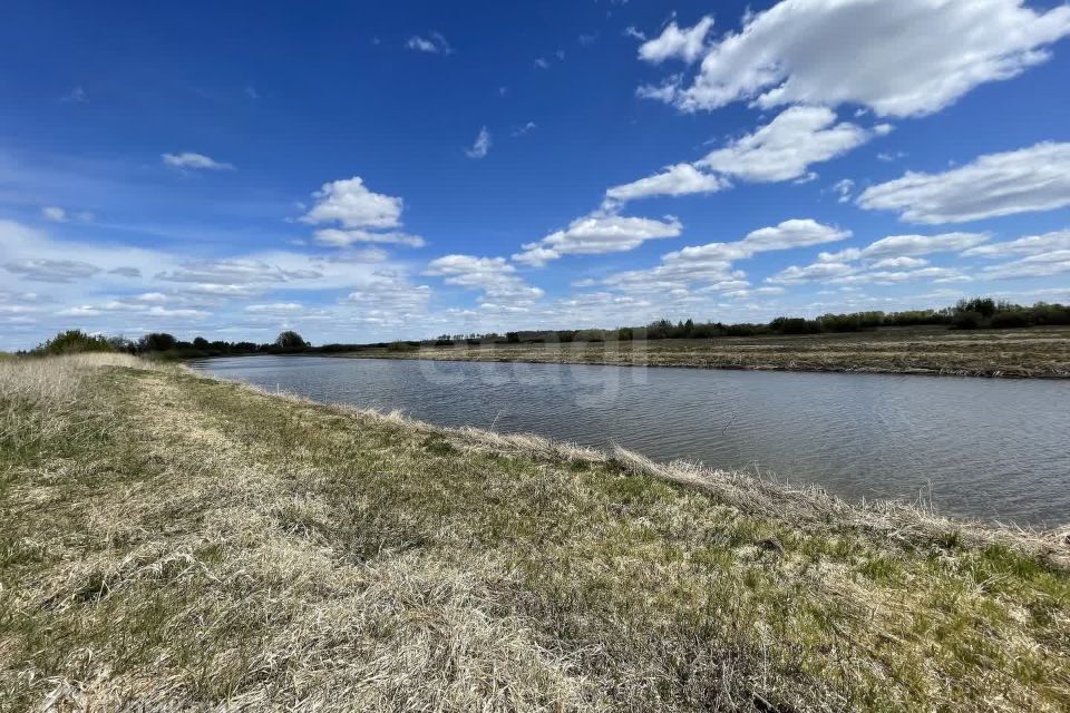 земля р-н Тюменский с. Борки фото 1