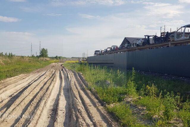 пл Центральная Тюмень городской округ фото