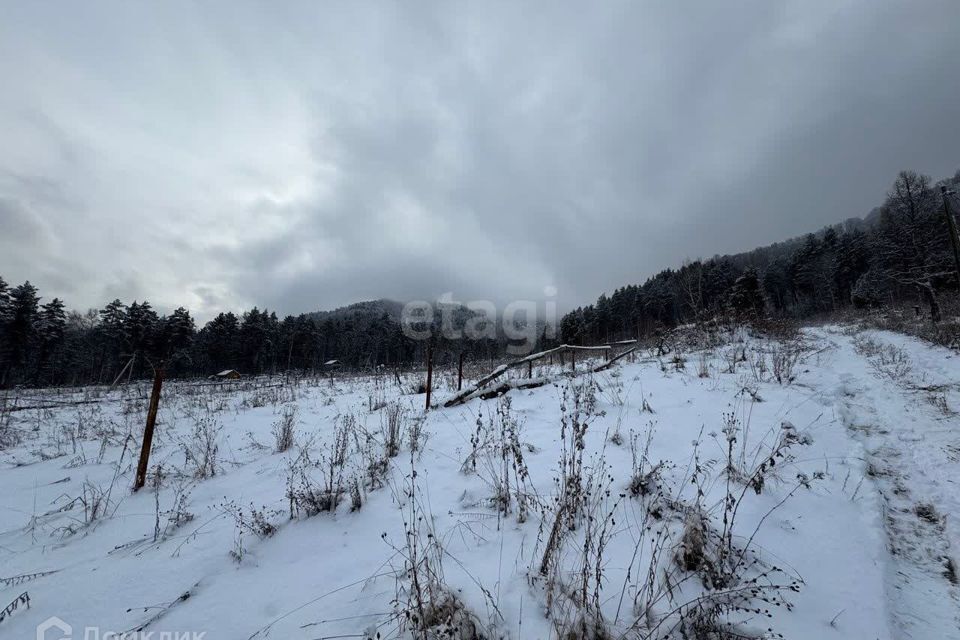 земля р-н Майминский с Озерное Киоск фото 1