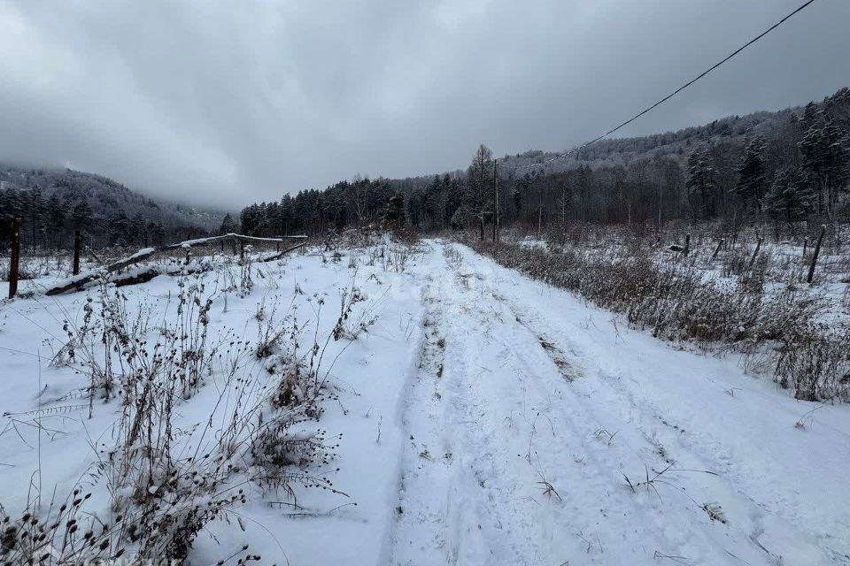 земля р-н Майминский с Озерное Киоск фото 4