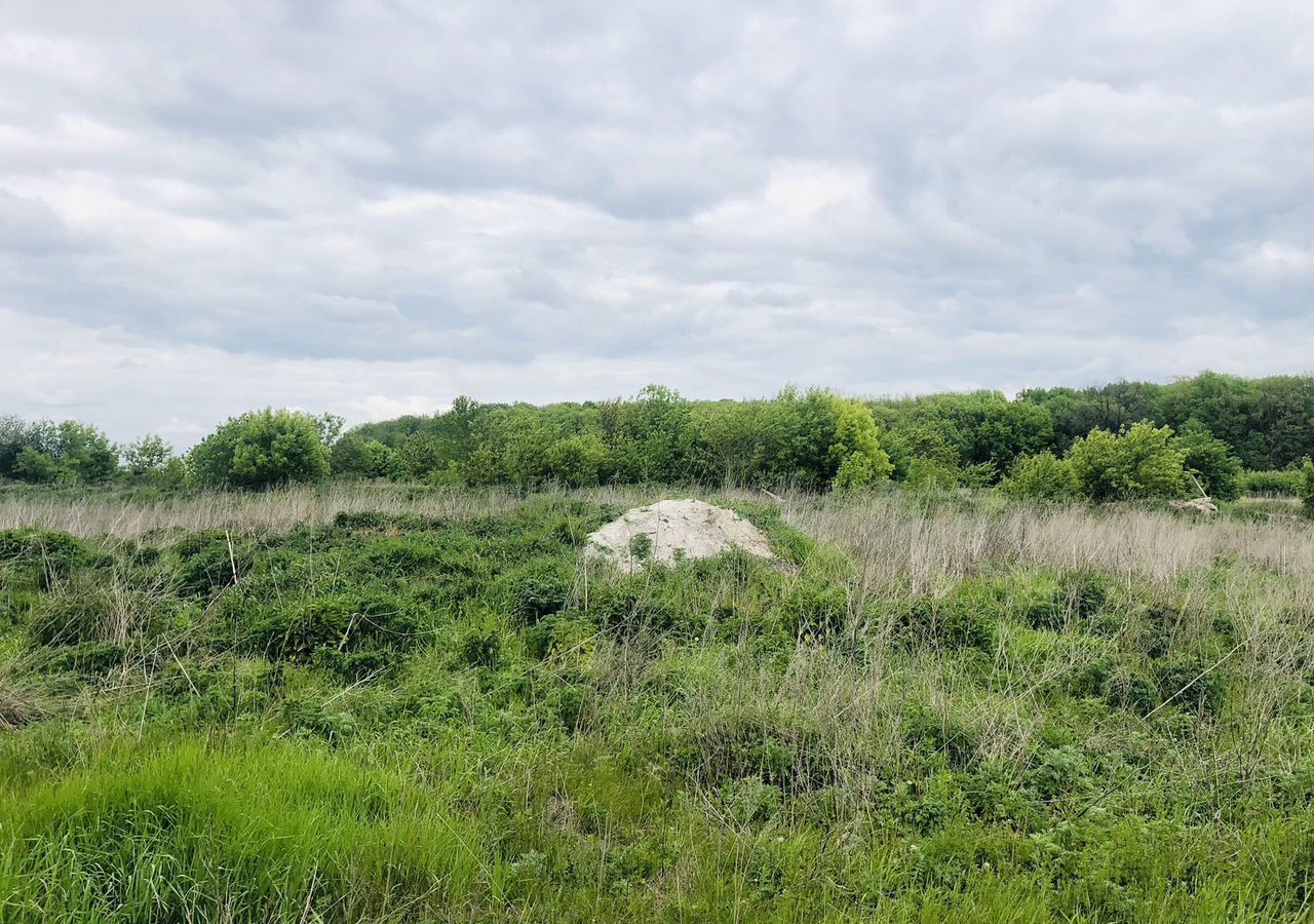 земля городской округ Шебекинский п Батрацкая Дача Разумное фото 13