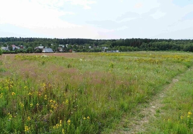 земля г Ликино-Дулёво коттеджный пос. Кудыкино Лайф фото