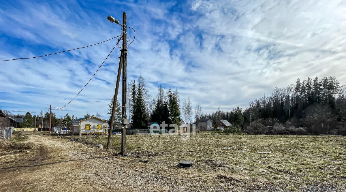 земля р-н Гатчинский массив Дружная Горка снт Лесовод-1 фото 10