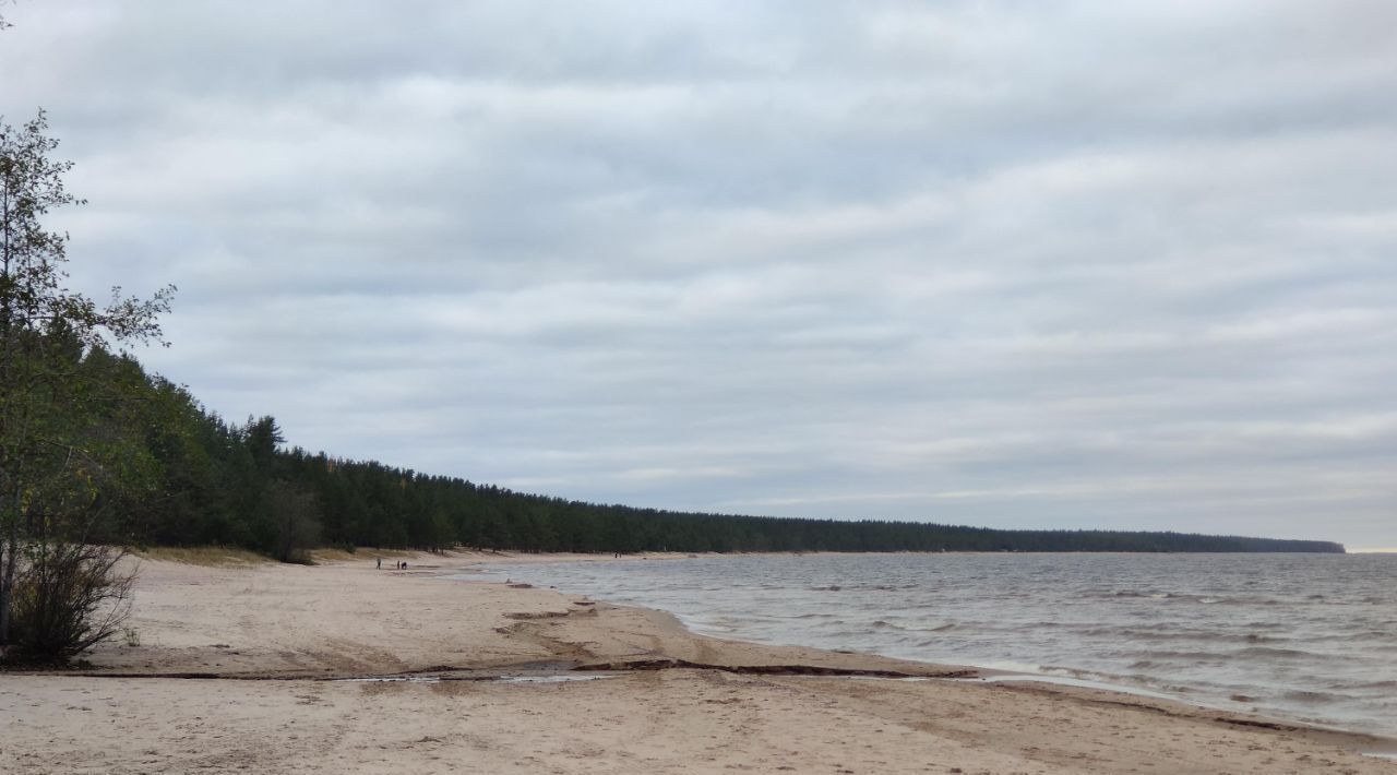 дом р-н Тосненский тер Маяк Ларионовское с/пос, Приозерский район фото 14