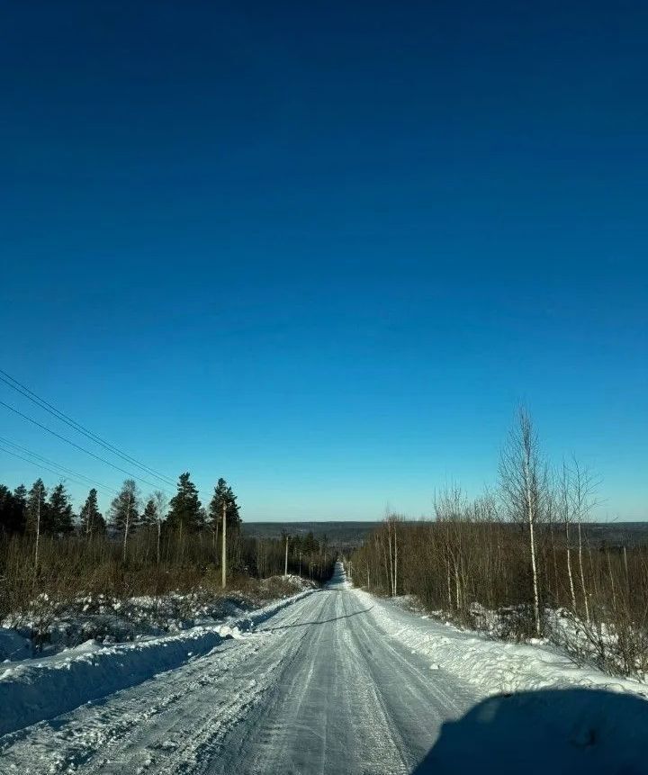 земля р-н Иркутский снт Ручейки Иркутск фото 1