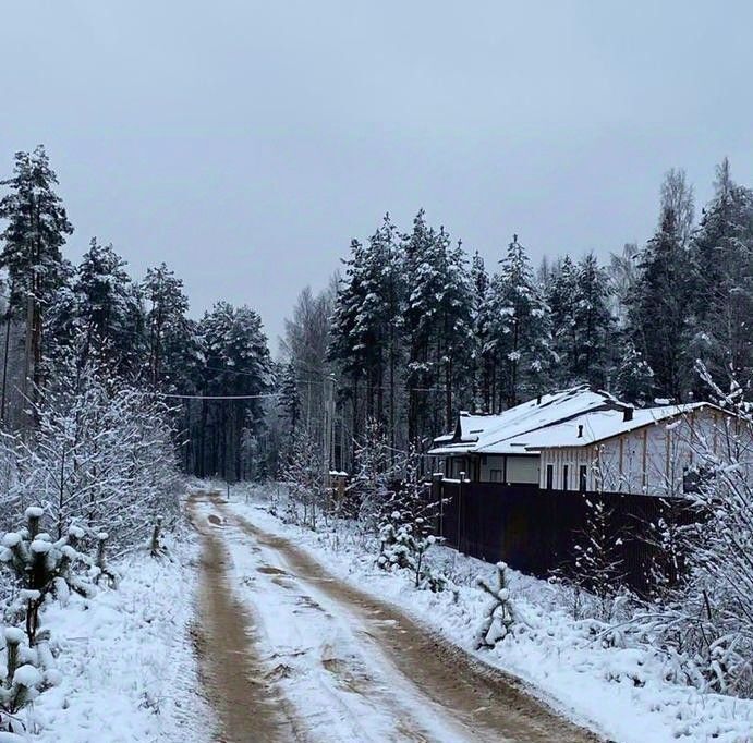 земля р-н Калининский д Крупшево фото 17