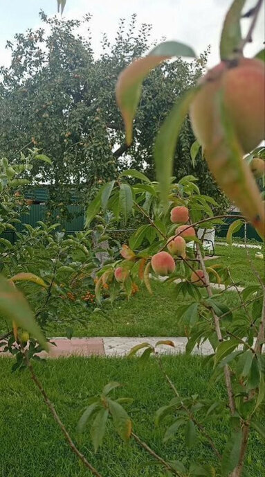 дом р-н Зеленоградский п Мельниково Зеленоградский муниципальный округ фото 2