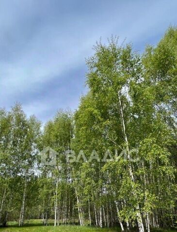 Второвское муниципальное образование, ул. Солнечная фото