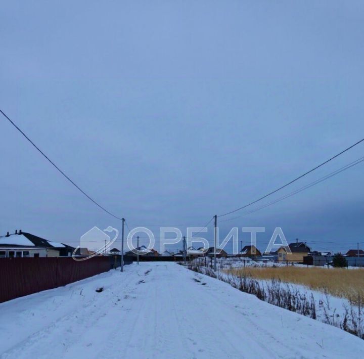 земля р-н Тюменский д Елань ул Дачная фото 3