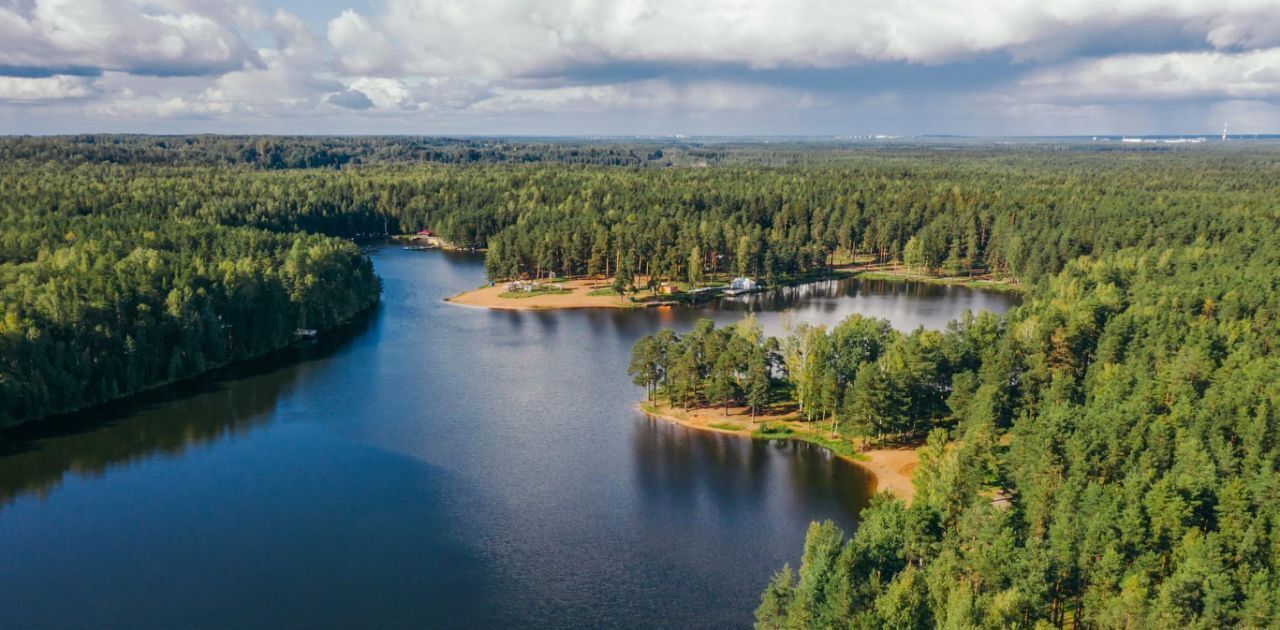 земля р-н Всеволожский Колтушское городское поселение, Крокусы кп фото 10