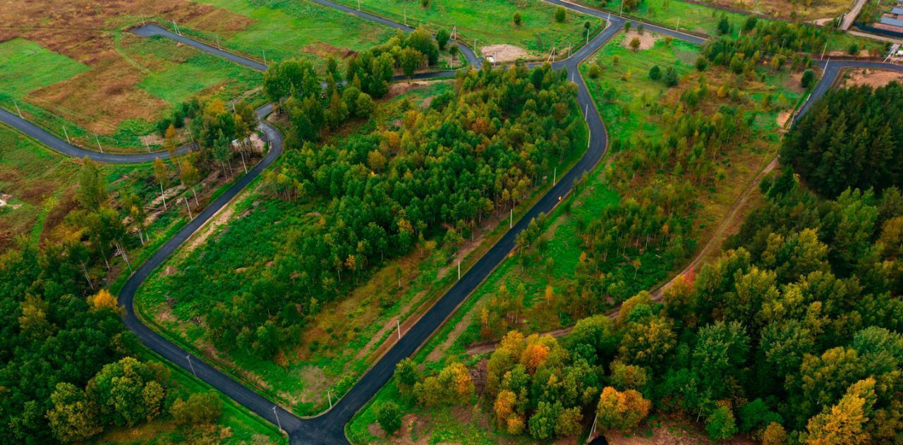 земля р-н Всеволожский Колтушское городское поселение, Крокусы кп фото 13