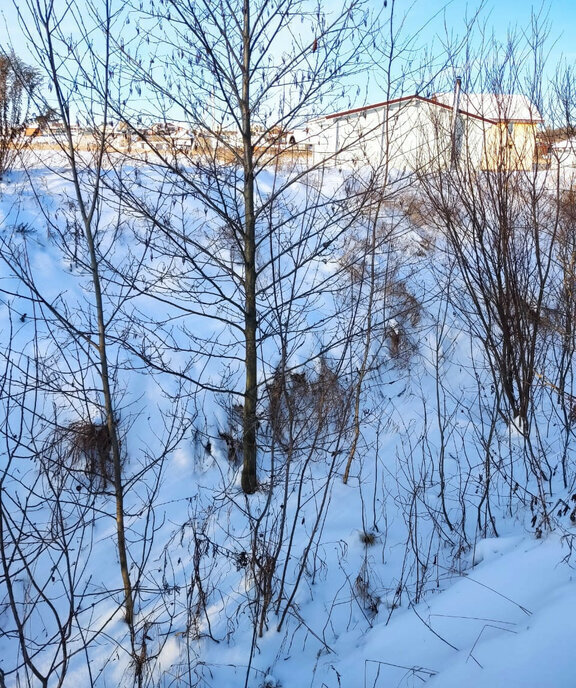 земля р-н Суздальский с Васильково ул Спортивная муниципальное образование Павловское фото 10