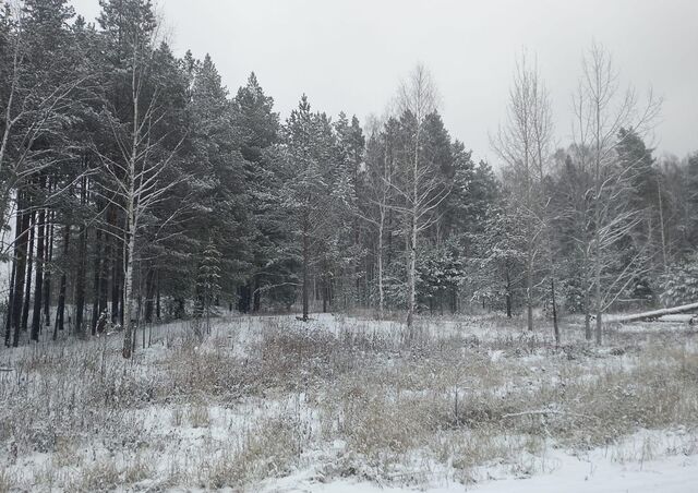 земля р-н Чкаловский коттеджный пос. Улесье-2 фото