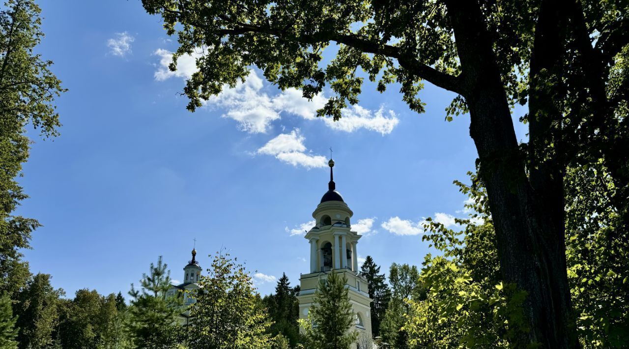 земля городской округ Мытищи с Марфино ул Изумрудная Хлебниково фото 17