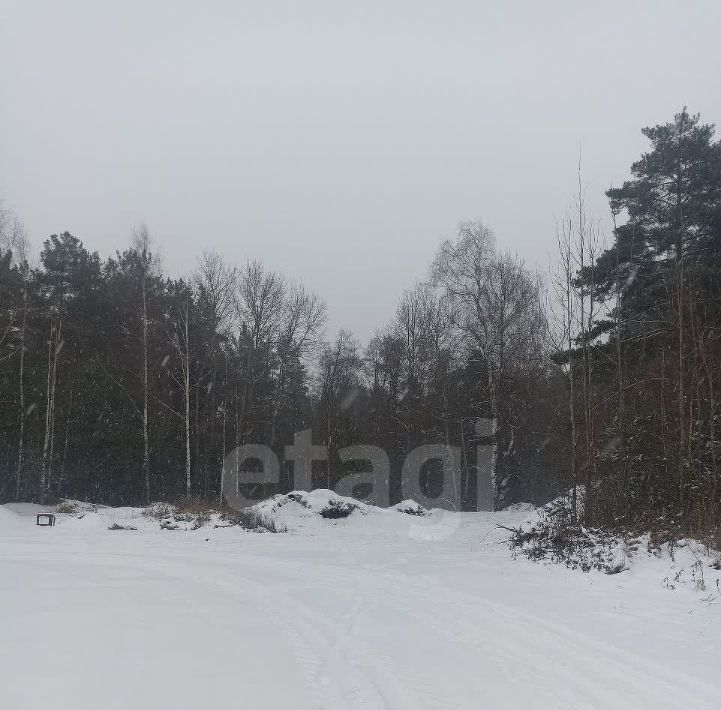 земля р-н Ковровский д Чернево Новосельское с/пос, 3 фото 6