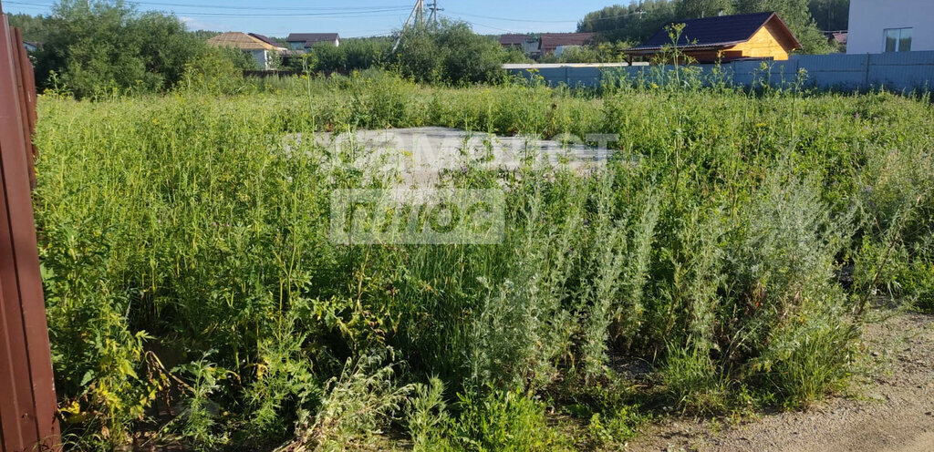 земля р-н Белоярский Чкаловская, территория Новаторов, Белоярский городской округ фото 1