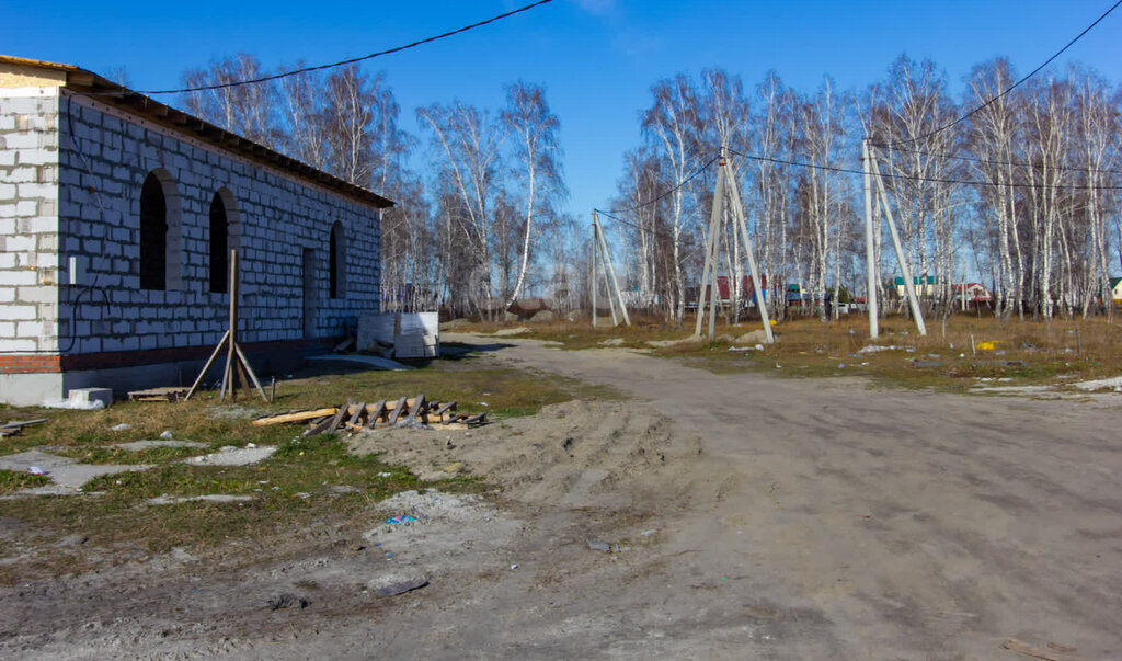 земля Криводановский сельсовет, Площадь Маркса, СНТ Рябинка фото 18