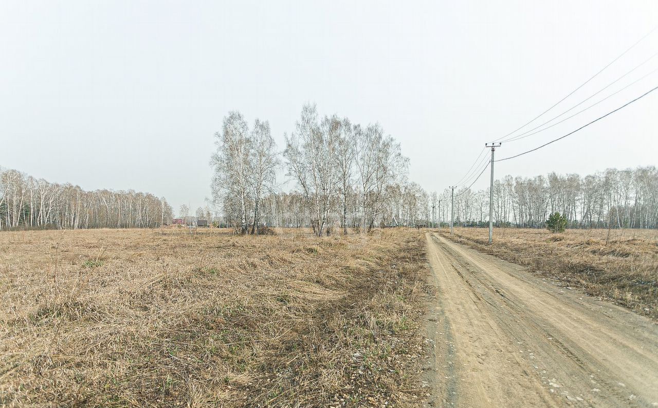 земля г Бердск Бердское шоссе, мкр-н Раздольный фото 2