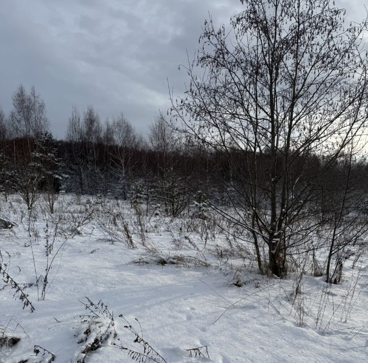 земля городской округ Сергиево-Посадский д Селково фото 9