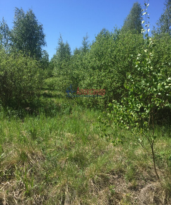 земля р-н Выборгский Советское городское поселение, Пляжная улица, СНТ Эрудит фото 3